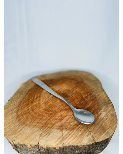 CONCHA BAILARINA - LOCAÇÃO CONCHA BAILARINA - LOCAÇÃO